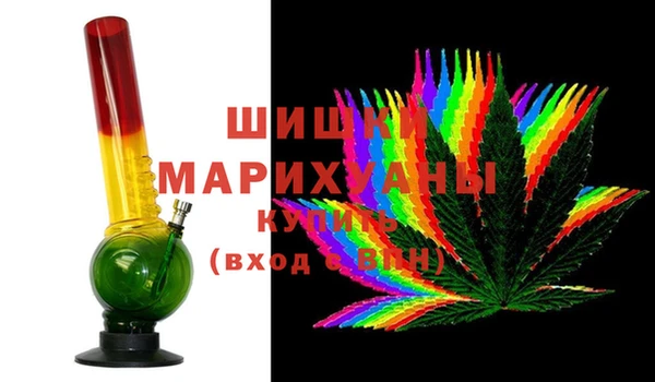 ГАЛЛЮЦИНОГЕННЫЕ ГРИБЫ Гусь-Хрустальный