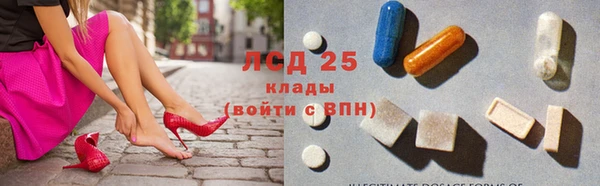 ГАЛЛЮЦИНОГЕННЫЕ ГРИБЫ Гусь-Хрустальный