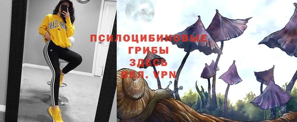а пвп мука Горняк