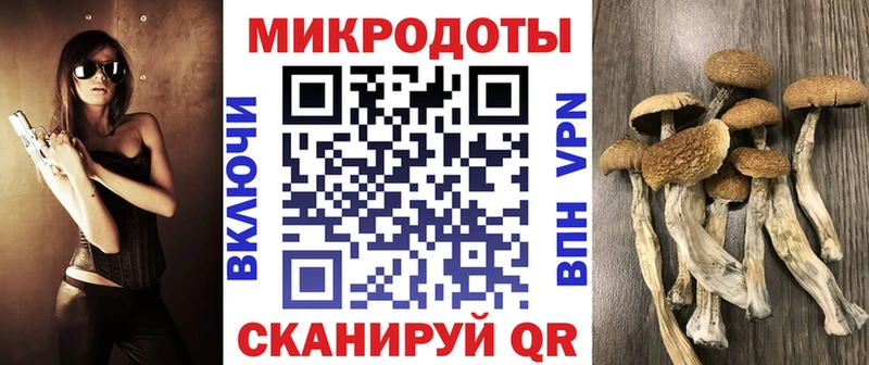 Псилоцибиновые грибы Magic Shrooms  где купить   Кизел 